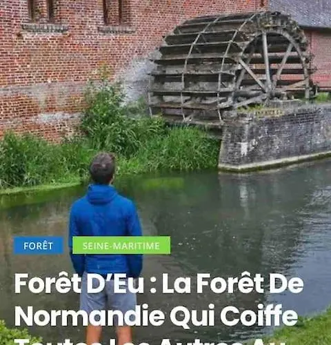 Apartment Chouet Mon